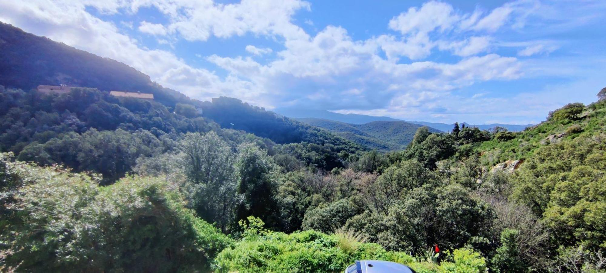 La Vallicella Farinole Cameră foto
